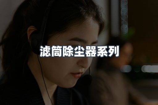 滤筒除尘器系列
