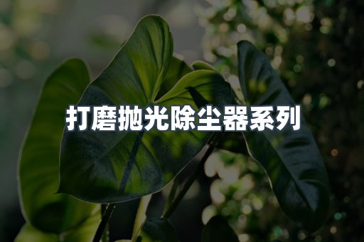 打磨抛光除尘器系列